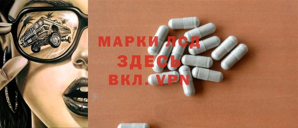 прущие грибы Арсеньев