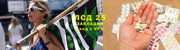PSILOCYBIN Армянск