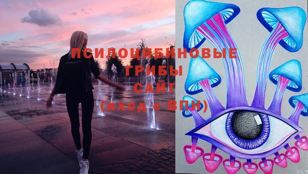 PSILOCYBIN Армянск
