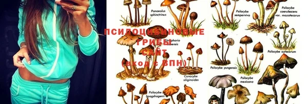 кокаин колумбия Аркадак